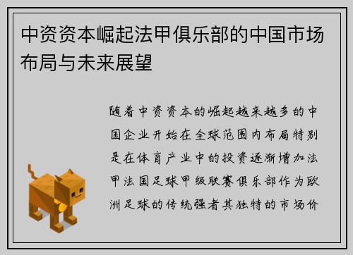 中资资本崛起法甲俱乐部的中国市场布局与未来展望