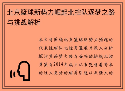 北京篮球新势力崛起北控队逐梦之路与挑战解析