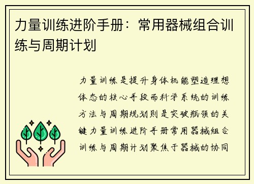 力量训练进阶手册：常用器械组合训练与周期计划
