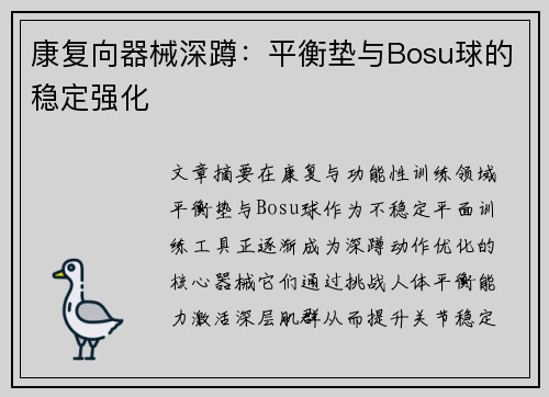 康复向器械深蹲：平衡垫与Bosu球的稳定强化